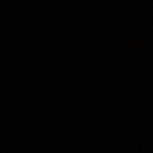 Meet your Posher, Carly